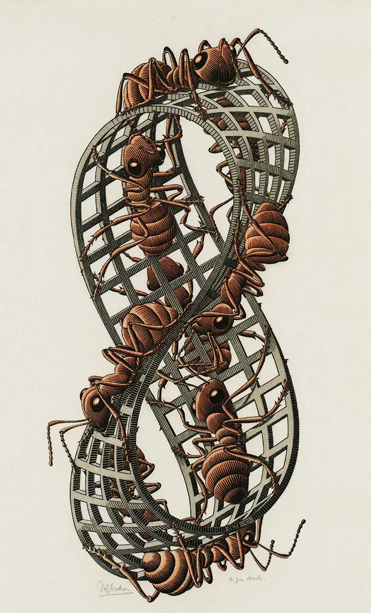 M.C. Escher's woodcut Möbius Strip II (Red Ants), showing red ants walking in a line along a lattice Möbius strip